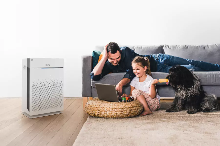 Are Air Purifiers Safe For Pets? (2023)